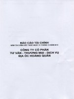 Báo cáo tài chính năm 2013 (đã kiểm toán) - Công ty cổ phần Tư vấn-Thương mại-Dịch vụ Địa ốc Hoàng Quân