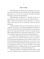 Xác định tỉ lệ nhiễm khuẩn bệnh viện, các vi khuẩn gây bệnh thường gặp và tính kháng kháng sinhtại khoa phòng cấp cứu khoa nhi  bên 