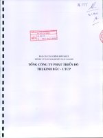 Báo cáo tài chính hợp nhất quý 4 năm 2009 - Tổng Công ty Phát triển Đô thị Kinh Bắc-CTCP