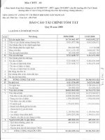 Báo cáo tài chính quý 2 năm 2008 - Công ty Cổ phần Khoáng sản Mangan