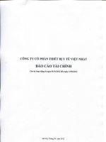 Báo cáo tài chính quý 1 năm 2012 - Công ty cổ phần Thiết bị Y tế Việt Nhật