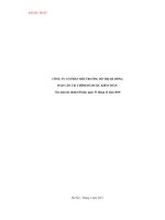 Báo cáo tài chính năm 2010 (đã kiểm toán) - Công ty Cổ phần Môi trường Đô thị Hà Đông