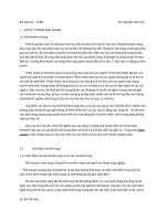 BÀI tập lớn THƯƠNG mại điện tử 