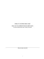 Báo cáo tài chính năm 2009 (đã kiểm toán) - Công ty Cổ phần Hòa Việt