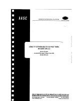 Báo cáo tài chính năm 2009 (đã kiểm toán) - Công ty Cổ phần Đầu tư và Phát triển Đa Quốc Gia I.D.I