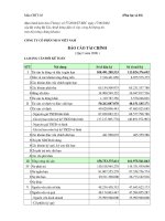 Báo cáo tài chính quý 1 năm 2008 - Công ty Cổ phần Đầu tư và Xây dựng BDC Việt Nam