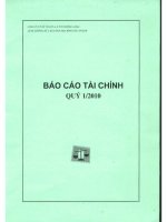 Báo cáo tài chính quý 1 năm 2010 - Công ty Cổ phần Kỹ thuật và Ô tô Trường Long