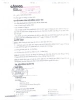 Nghị quyết Hội đồng Quản trị ngày 7-12-2009 - Công ty Cổ phần Cavico Việt Nam Khai thác Mỏ và Xây dựng