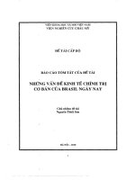 Những vấn đề kinh tế chính trị cơ bản của brasil ngày nay 