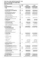 Báo cáo tài chính hợp nhất quý 1 năm 2010 - Tổng Công ty Phát triển Đô thị Kinh Bắc-CTCP