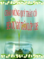 Bài giảng địa lý 11 liên bang nga