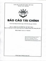 Báo cáo tài chính quý 1 năm 2011 - Công ty cổ phần Thiết bị Y tế Việt Nhật