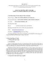 Báo cáo thường niên năm 2008 - Công ty Cổ phần Khoáng sản Mangan