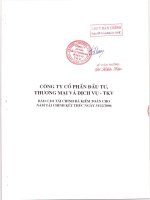 Báo cáo tài chính năm 2006 (đã kiểm toán) - Công ty cổ phần Đầu tư, Thương mại và Dịch vụ - Vinacomin