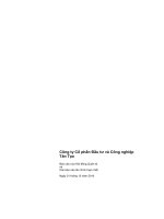 Báo cáo tài chính hợp nhất năm 2010 (đã kiểm toán) - Công ty Cổ phần Đầu tư và Công nghiệp Tân Tạo
