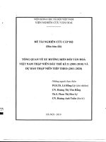 Tổng quan về xu hướng biến đổi văn hóa việt nam thập niên đầu thế kỉ 21 (2001 2010) và dự báo thập niên tiếp theo (2011 2020) 