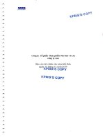 Báo cáo tài chính hợp nhất năm 2010 (đã kiểm toán) - CTCP Hàng Tiêu dùng Masan - Masan Consumer