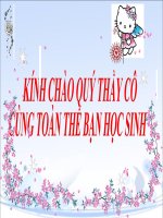 Sinh Học 11  Bài 12: Hô hấp ở thực vật