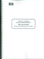 Báo cáo tài chính năm 2015 (đã kiểm toán) - Công ty Cổ phần Đá Xây dựng Hoà Phát