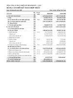 Báo cáo tài chính quý 2 năm 2009 - Tổng Công ty Phát triển Đô thị Kinh Bắc-CTCP