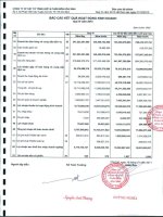 Báo cáo tài chính công ty mẹ quý 4 năm 2010 - Công ty Cổ phần Vật tư tổng hợp và Phân bón Hóa sinh