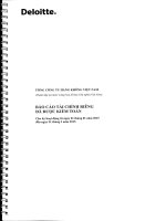 Báo cáo tài chính công ty mẹ quý 1 năm 2015 (đã kiểm toán) - Tổng Công ty Hàng không Việt Nam-CTCP