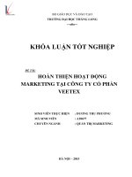 Luận văn hoàn thiện hoạt động marketing tại công ty cổ phần veetex 