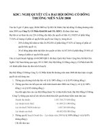 Nghị quyết đại hội cổ đông ngày 28-04-2009 - Công ty Cổ phần Tập đoàn Kido