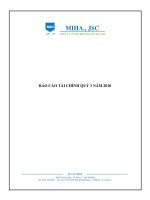 Báo cáo tài chính quý 3 năm 2010 - Công ty Cổ phần Xuất nhập khẩu Khoáng sản Hà Nam