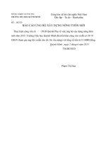 bao cao ủng hô xây dựng nông thôn moi