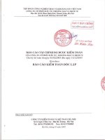 Báo cáo tài chính năm 2005 (đã kiểm toán) - Công ty cổ phần Đầu tư, Thương mại và Dịch vụ - Vinacomin
