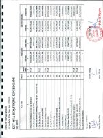 Báo cáo KQKD công ty mẹ quý 2 năm 2011 - Công ty Cổ phần Tập đoàn Kido