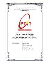 CÁC vấn đề bảo mật TRONG MẠNG NGANG HÀNG 