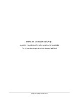 Báo cáo tài chính quý 2 năm 2013 (đã soát xét) - Công ty Cổ phần Hòa Việt