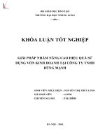 Luận văn giải pháp nhằm nâng cao hiệu quả sử dụng vốn kinh doanh tại công ty TNHH dũng mạnh 