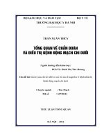 TỔNG QUAN về CHẨN đoán và điều TRỊ BỆNH ĐỘNG MẠCH CHI dưới 