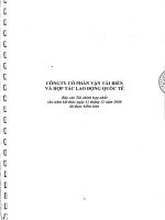 Báo cáo tài chính hợp nhất năm 2008 (đã kiểm toán) - CTCP Vận tải biển & Hợp tác Quốc tế