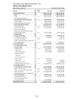 Báo cáo tài chính công ty mẹ quý 1 năm 2010 - Tổng Công ty Phát triển Đô thị Kinh Bắc-CTCP