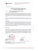 Báo cáo tài chính quý 2 năm 2012 (đã soát xét) - Công ty Cổ phần Hóa chất Việt Trì