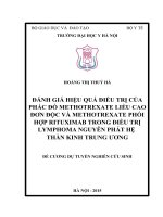 ĐÁNH GIÁ HIỆU QUẢ điều TRỊ của PHÁC đồ METHOTREXATE LIỀU CAO đơn độc và METHOTREXATE PHỐI hợp RITUXIMAB TRONG điều TRỊ LYMPHOMA NGUYÊN PHÁT hệ THẦN KINH TRUNG ương 