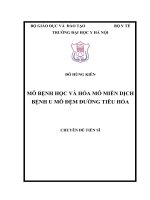 MÔ BỆNH học và hóa mô MIỄN DỊCH BỆNH u mô đệm ĐƯỜNG TIÊU hóa 