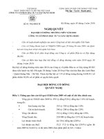 Nghị quyết đại hội cổ đông ngày 30-03-2010 - Công ty cổ phần Đầu tư và Xây dựng HUD3