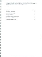 Báo cáo tài chính năm 2009 (đã kiểm toán) - Công ty Cổ phần Cavico Việt Nam Khai thác Mỏ và Xây dựng