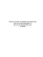Báo cáo tài chính năm 2009 (đã kiểm toán) - Công ty Cổ phần Đầu tư Thương mại Thủy Sản