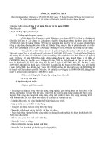 Báo cáo thường niên năm 2009 - Công ty cổ phần Đầu tư và Xây dựng HUD3