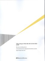 Báo cáo tài chính công ty mẹ quý 2 năm 2010 (đã kiểm toán) - Tổng Công ty Phát triển Đô thị Kinh Bắc-CTCP