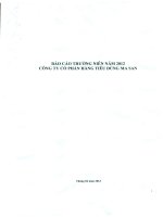 Báo cáo thường niên năm 2012 - CTCP Hàng Tiêu dùng Masan - Masan Consumer