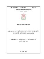 XÁC ĐỊNH đột BIẾN GEN FGFR TRÊN BỆNH NHÂN u NGUYÊN bào THẦN KINH đệm 
