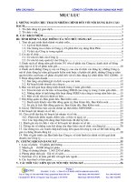 Bản cáo bạch - Công ty Cổ phần Đá Xây dựng Hoà Phát