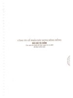 Báo cáo tài chính công ty mẹ năm 2009 (đã kiểm toán) - Công ty Cổ phần Xây dựng Sông Hồng